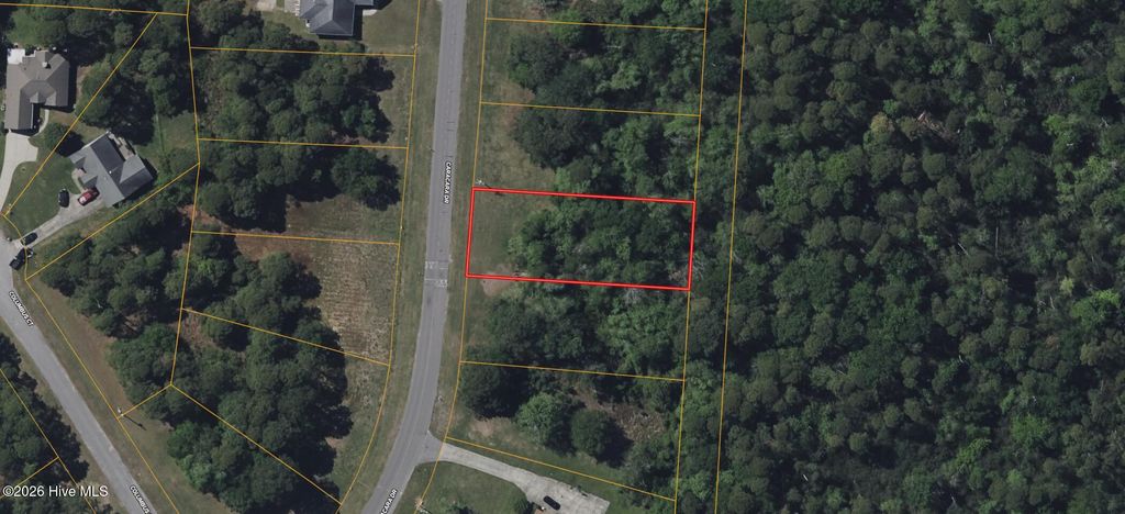 Photo of 1610 Caracara Drive, New Bern, NC 28560 (MLS # 100575717)