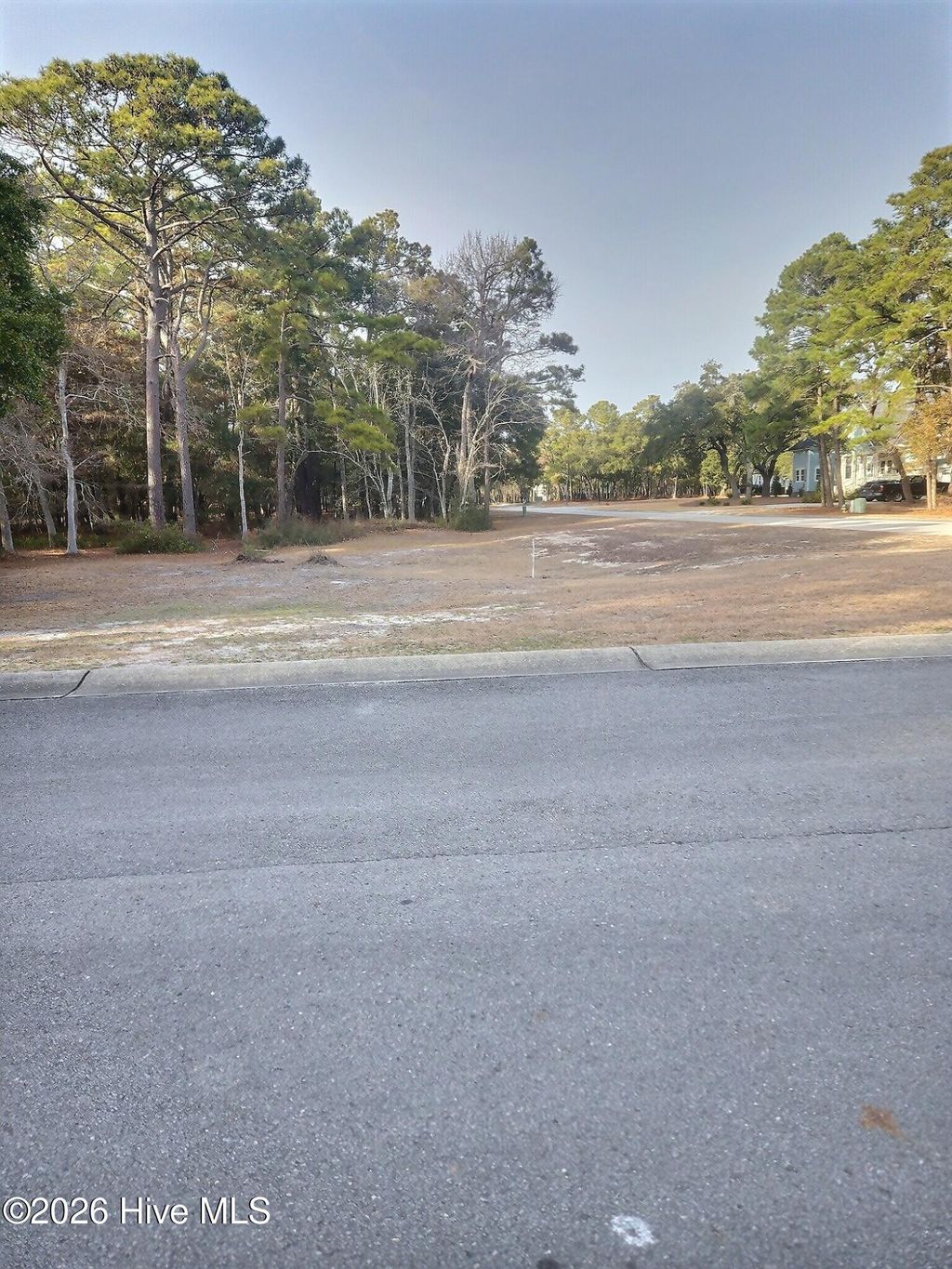 Photo of 726 Beaufain Street SW, Supply, NC 28462 (MLS # 100553756)