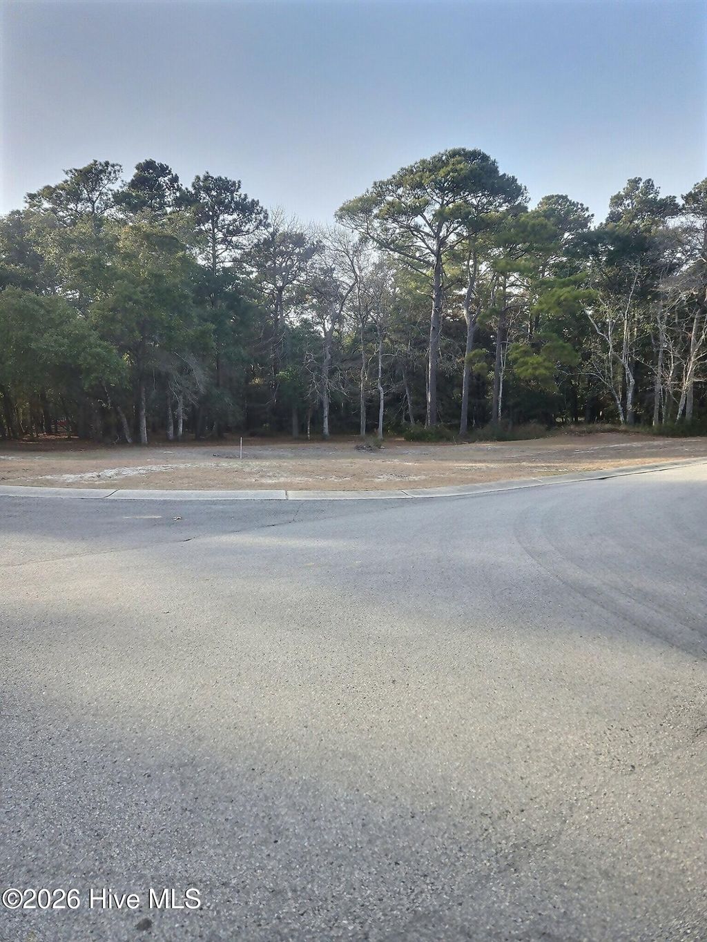 Photo of 726 Beaufain Street SW, Supply, NC 28462 (MLS # 100553756)