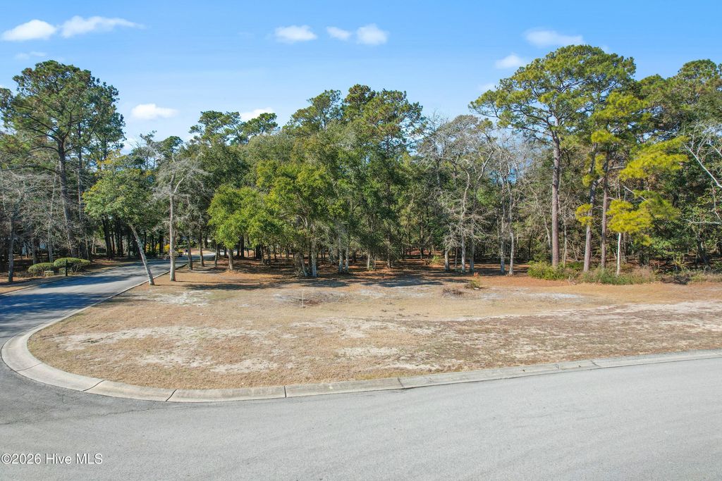 Photo of 726 Beaufain Street SW, Supply, NC 28462 (MLS # 100553756)