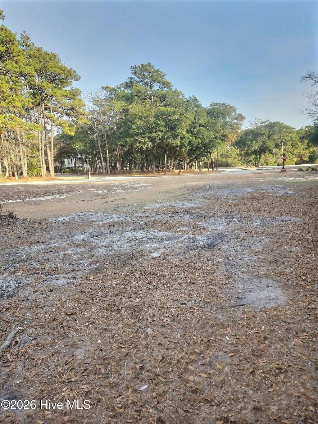 Photo of 726 Beaufain Street SW, Supply, NC 28462 (MLS # 100553756)