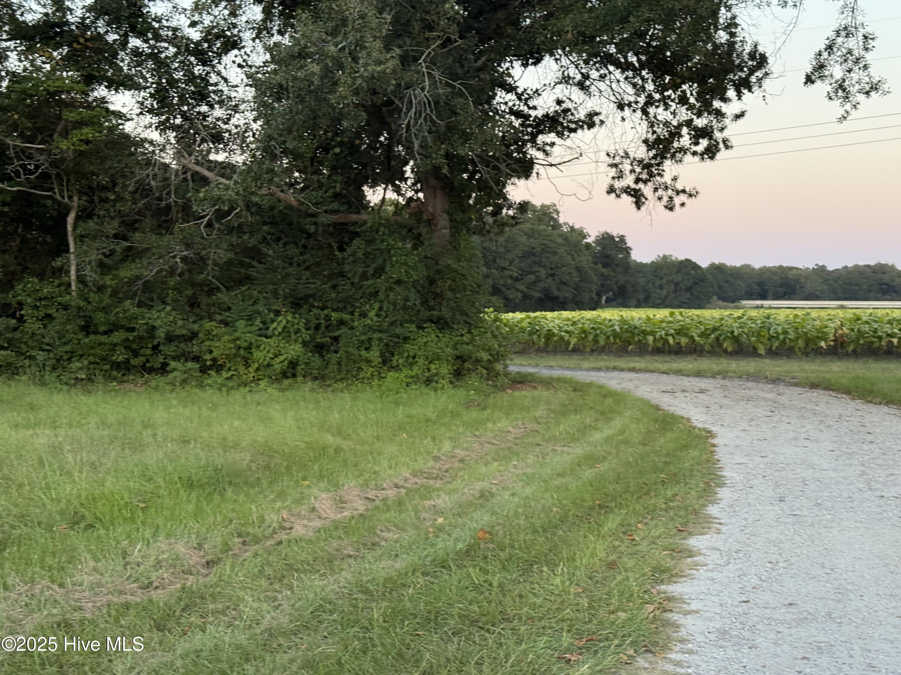 3591 Off Sr 1337 On River