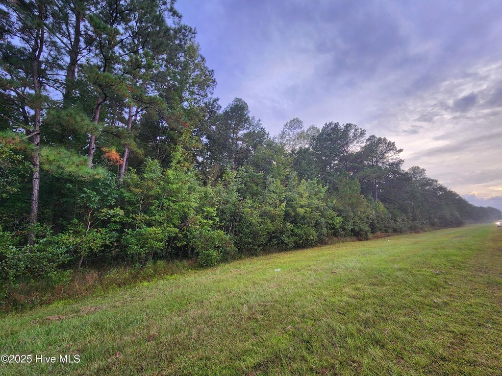 Photo of O Hwy 17, Bolivia, NC 28422 (MLS # 100533231)