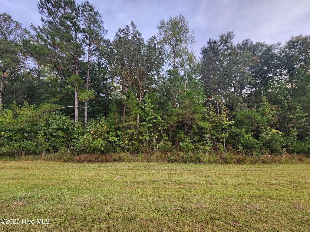 Photo of O Hwy 17, Bolivia, NC 28422 (MLS # 100533231)