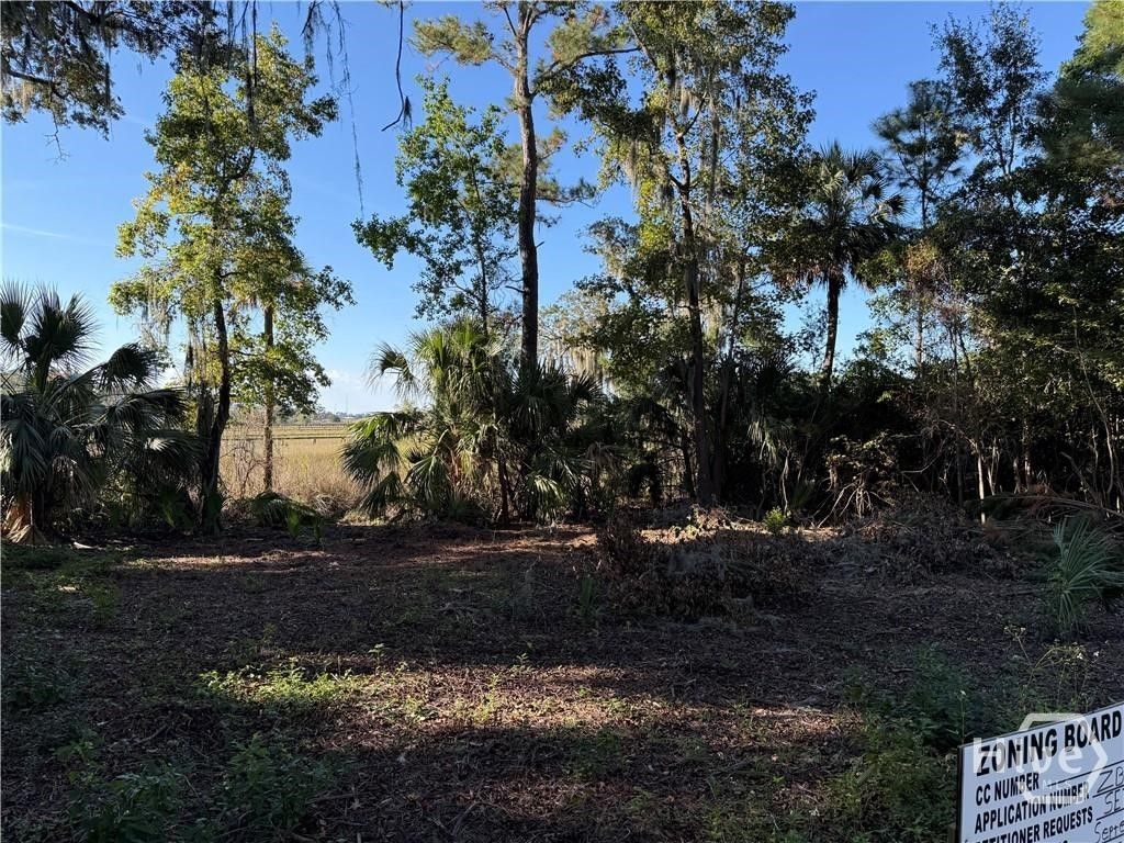 Photo of 209 Battery Way, Savannah, GA 31410 (MLS # SA347073)