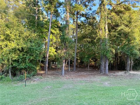 Vacant Land For Sale - Friendship Road<br/> Screven County, Sylvania, GA 30467