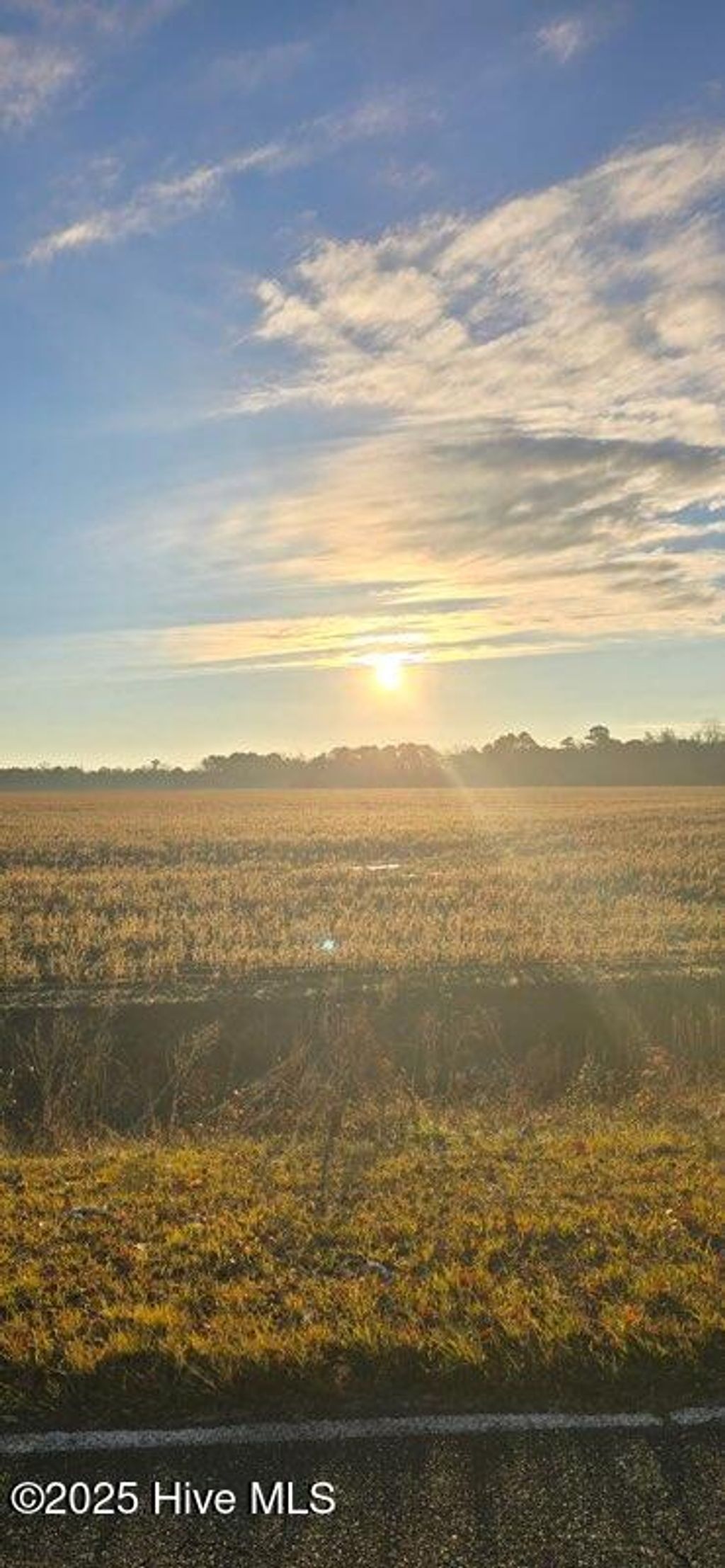 Photo of Tbd Bass Road, Fairmont, NC 28340 (MLS # 100545733)