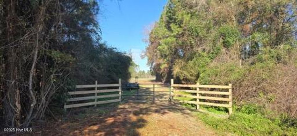 Photo of Tbd Bass Road, Fairmont, NC 28340 (MLS # 100545733)