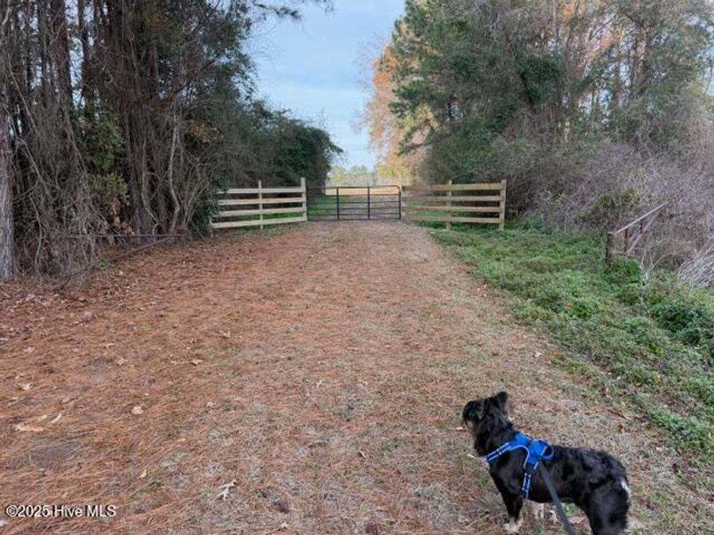 Photo of Tbd Bass Road, Fairmont, NC 28340 (MLS # 100545733)