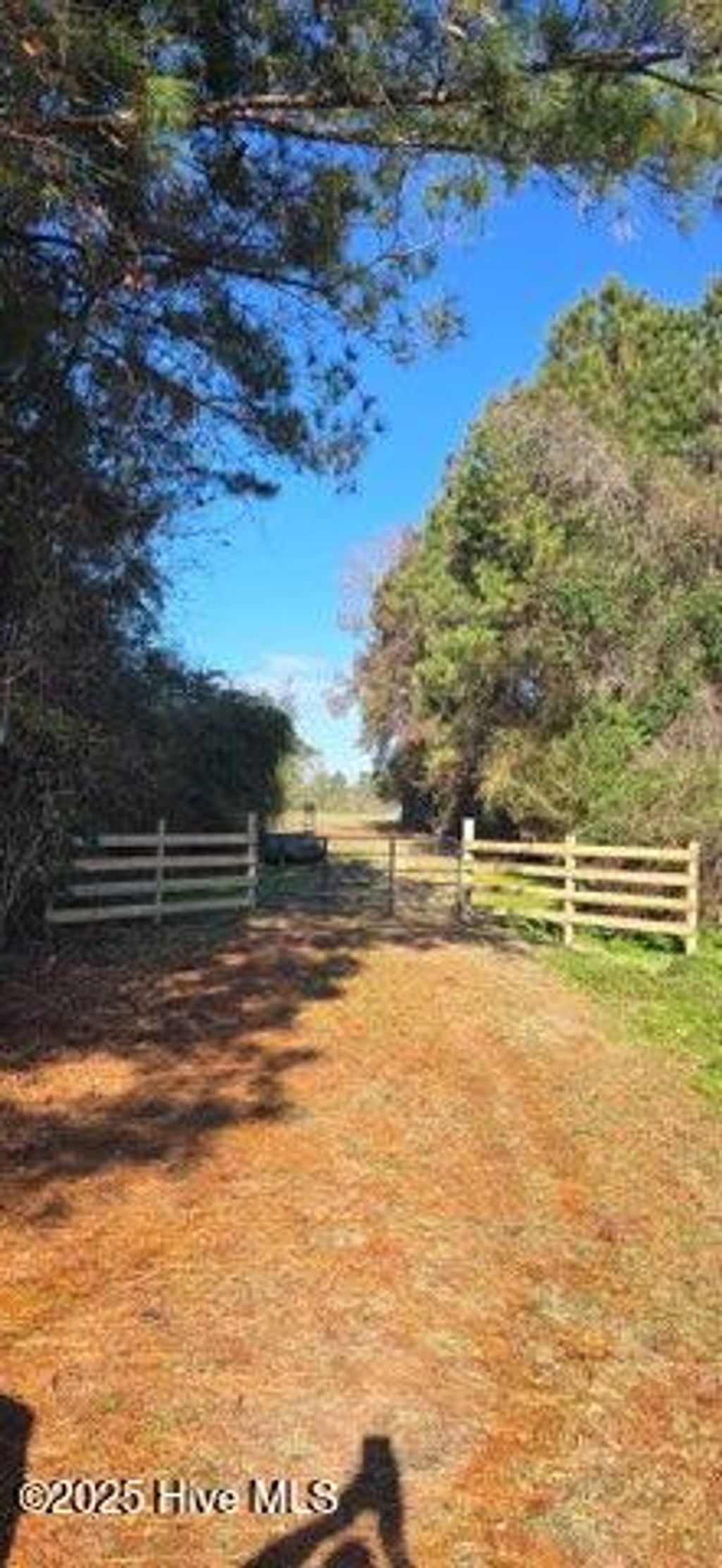 Photo of Tbd Bass Road, Fairmont, NC 28340 (MLS # 100545733)