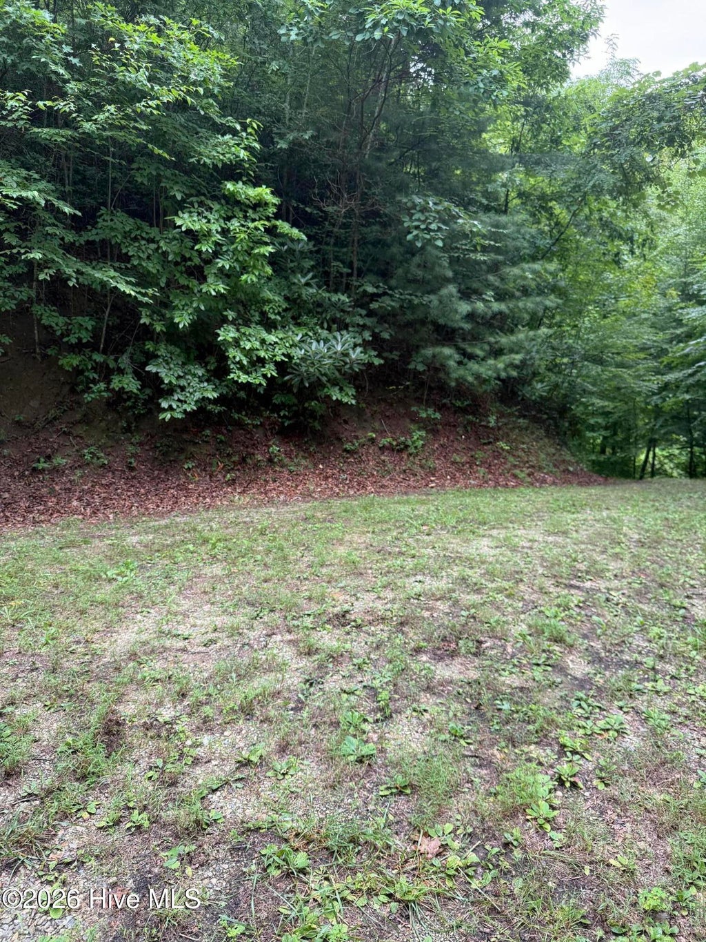 Photo of 15 Mountain Vista Lane, Topton, NC 28781 (MLS # 100594454)