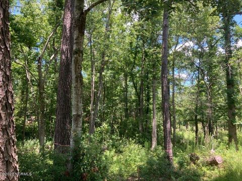 Tiny photo for 76 Hughes Road, Hampstead, NC 28443 (MLS # 100562742)