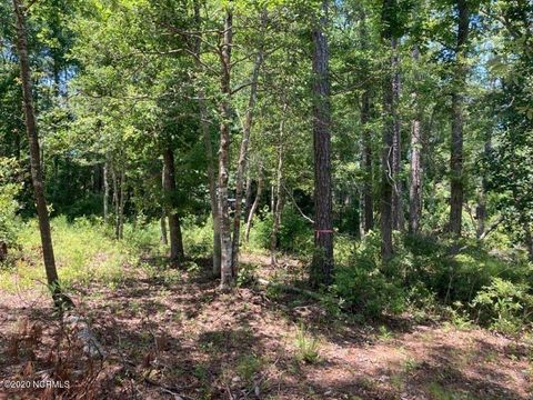 Tiny photo for 76 Hughes Road, Hampstead, NC 28443 (MLS # 100562742)