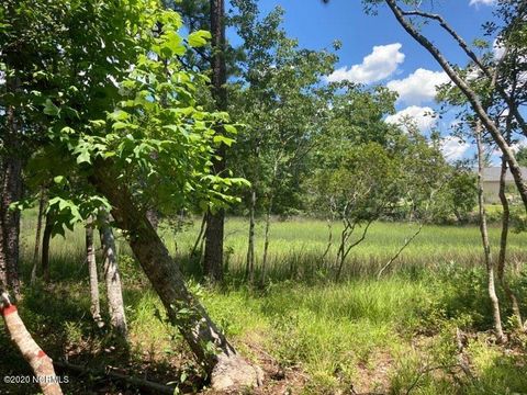 Tiny photo for 76 Hughes Road, Hampstead, NC 28443 (MLS # 100562742)