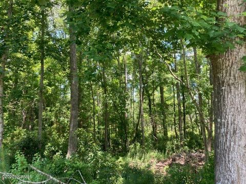 Tiny photo for 76 Hughes Road, Hampstead, NC 28443 (MLS # 100562742)