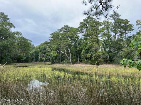 Tiny photo for 76 Hughes Road, Hampstead, NC 28443 (MLS # 100562742)