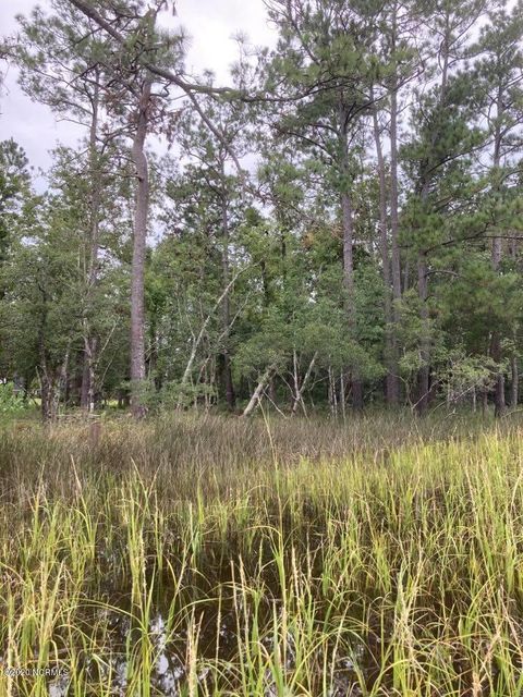 Tiny photo for 76 Hughes Road, Hampstead, NC 28443 (MLS # 100562742)