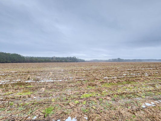 RAMSEY FORD RD, TABOR CITY, NC 28463 - Image 9b2aa1d353fdf9e506c8dff128cd7022/1947569097