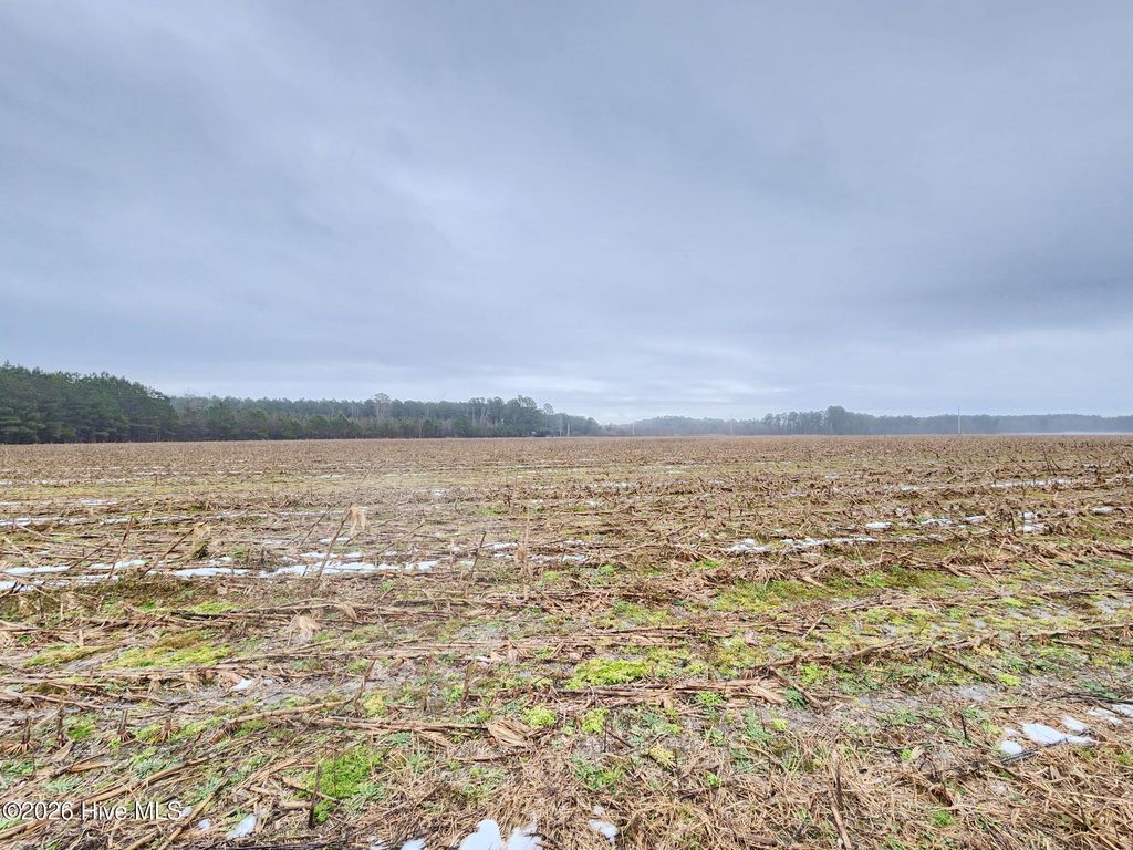 Photo of Tbd Ramsey Ford Road, Tabor City, NC 28463 (MLS # 100553251)