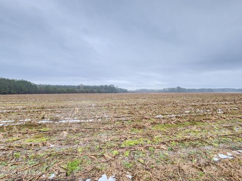 Vacant Land For Sale - TBD Ramsey Ford Road<br/> Tabor City, NC 28463