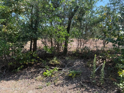 Vacant Land For Sale - 164 Shingle Landing Lane<br/> Dare County, Kill Devil Hills, NC 27948