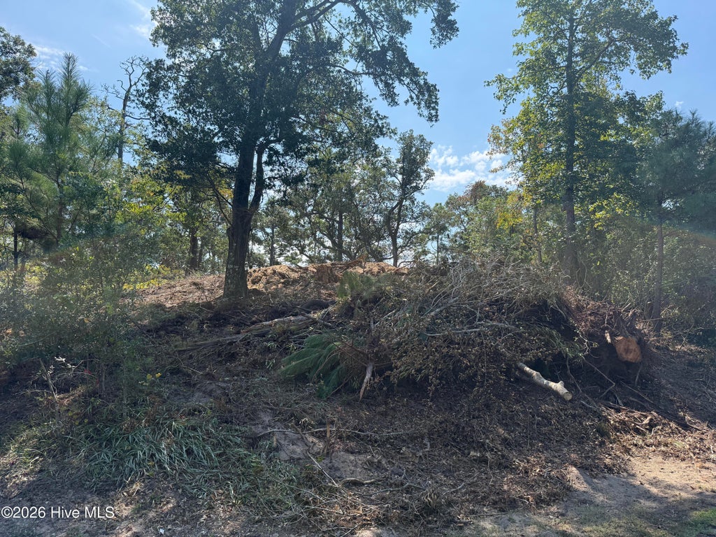 Photo of 164 Shingle Landing Lane, Kill Devil Hills, NC 27948 (MLS # 100606222)