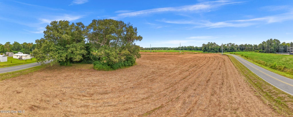Photo of 4441 S Nc 11 Highway, Wallace, NC 28466 (MLS # 100606529)