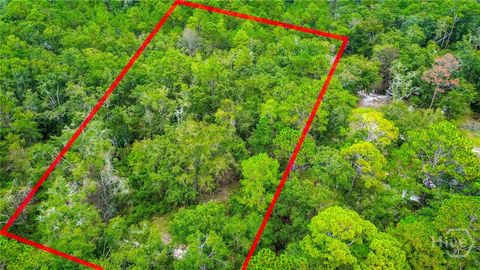 Vacant Land For Sale - 0 & 1 Denise Lane<br/> Liberty County, Hinesville, GA 31333