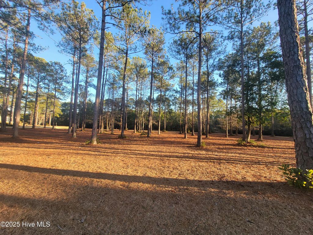 Photo of 6614 Carrick Notch SW, Ocean Isle Beach, NC 28469 (MLS # 100487700)