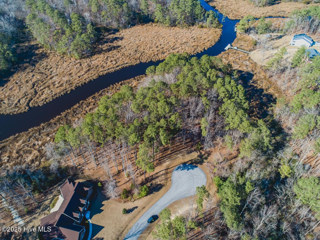 Photo of 220 Golden Fern Lane, Minnesott Beach, NC 28510 (MLS # 100181220)