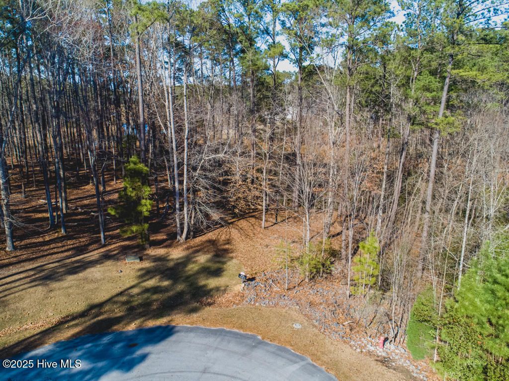 Photo of 220 Golden Fern Lane, Minnesott Beach, NC 28510 (MLS # 100181220)