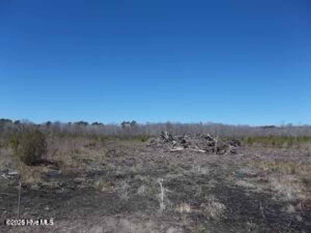 Photo of Tbd Boat Ramp Road, New Hope, NC 27944 (MLS # 100575314)