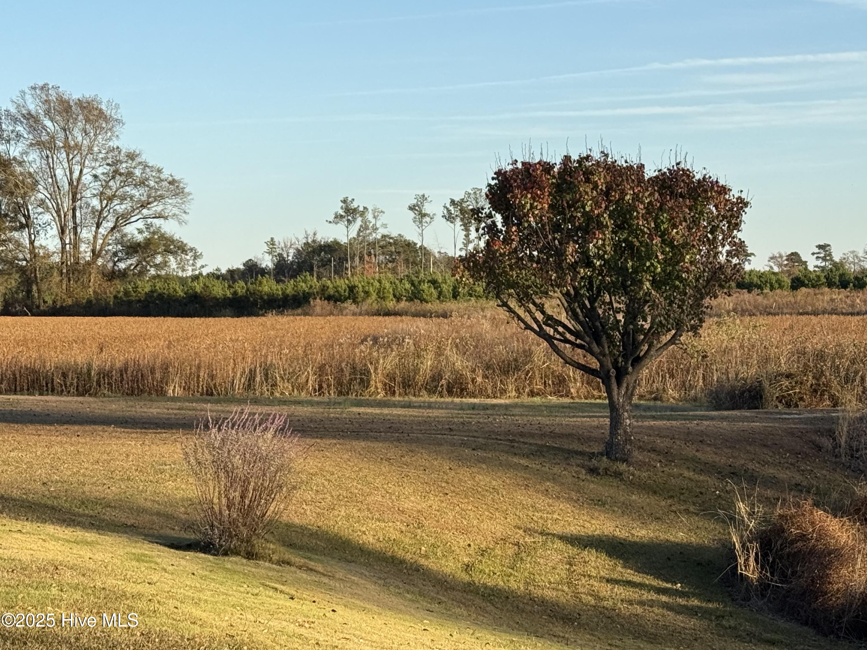 Goldsboro, North Carolina 27534, United States, ,Land,Active,255690