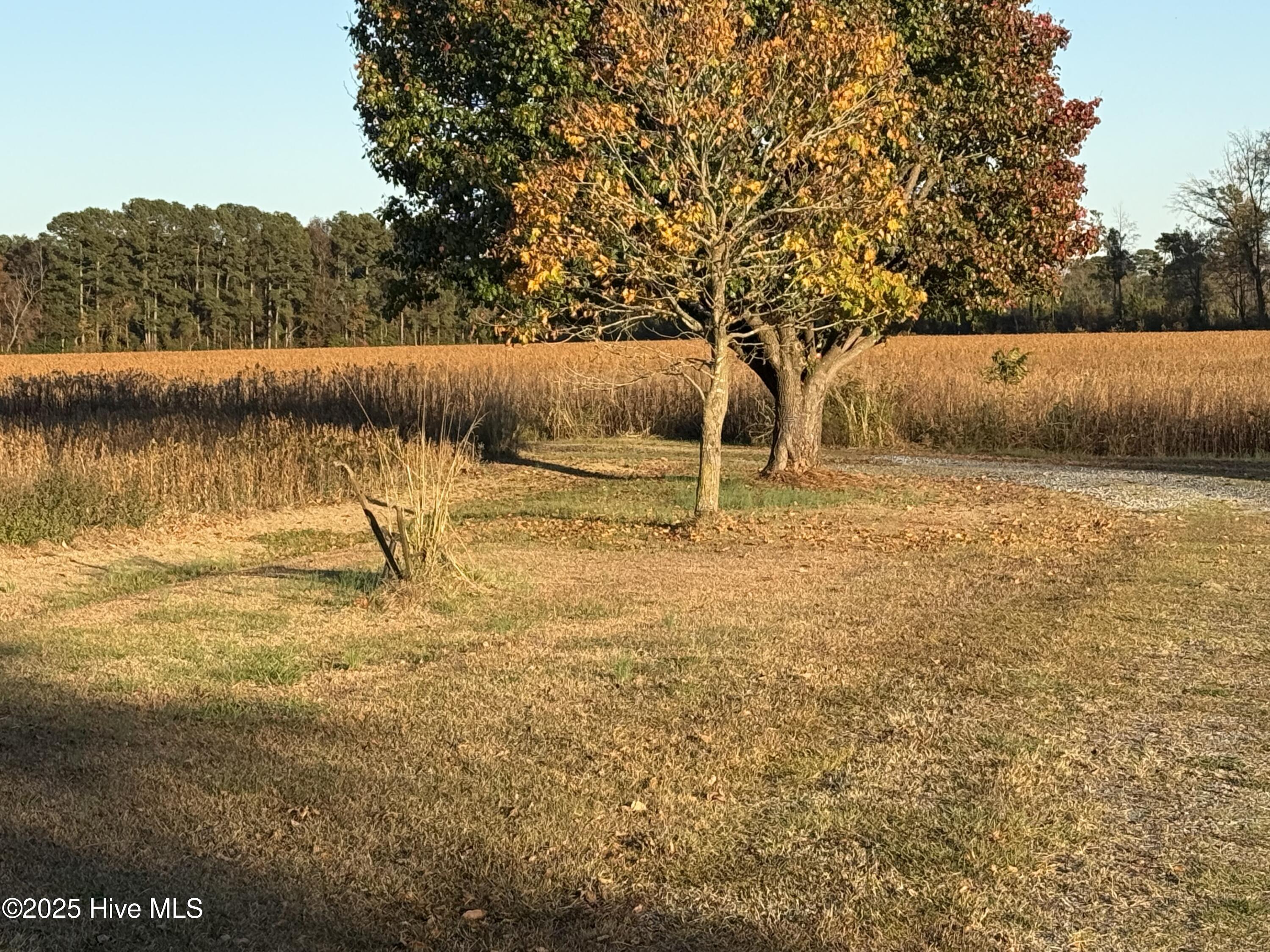 Goldsboro, North Carolina 27534, United States, ,Land,Active,255690