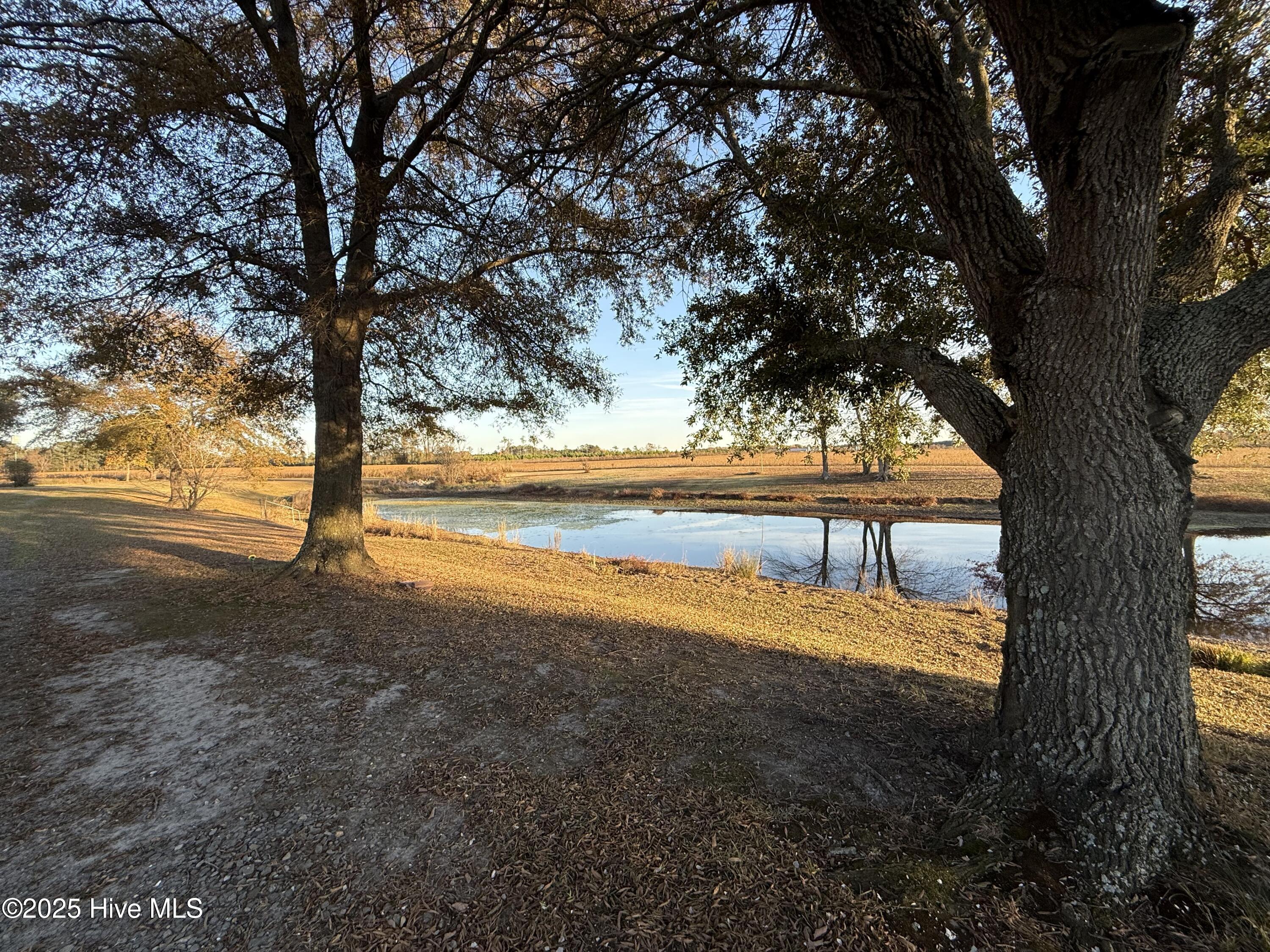 Goldsboro, North Carolina 27534, United States, ,Land,Active,255690