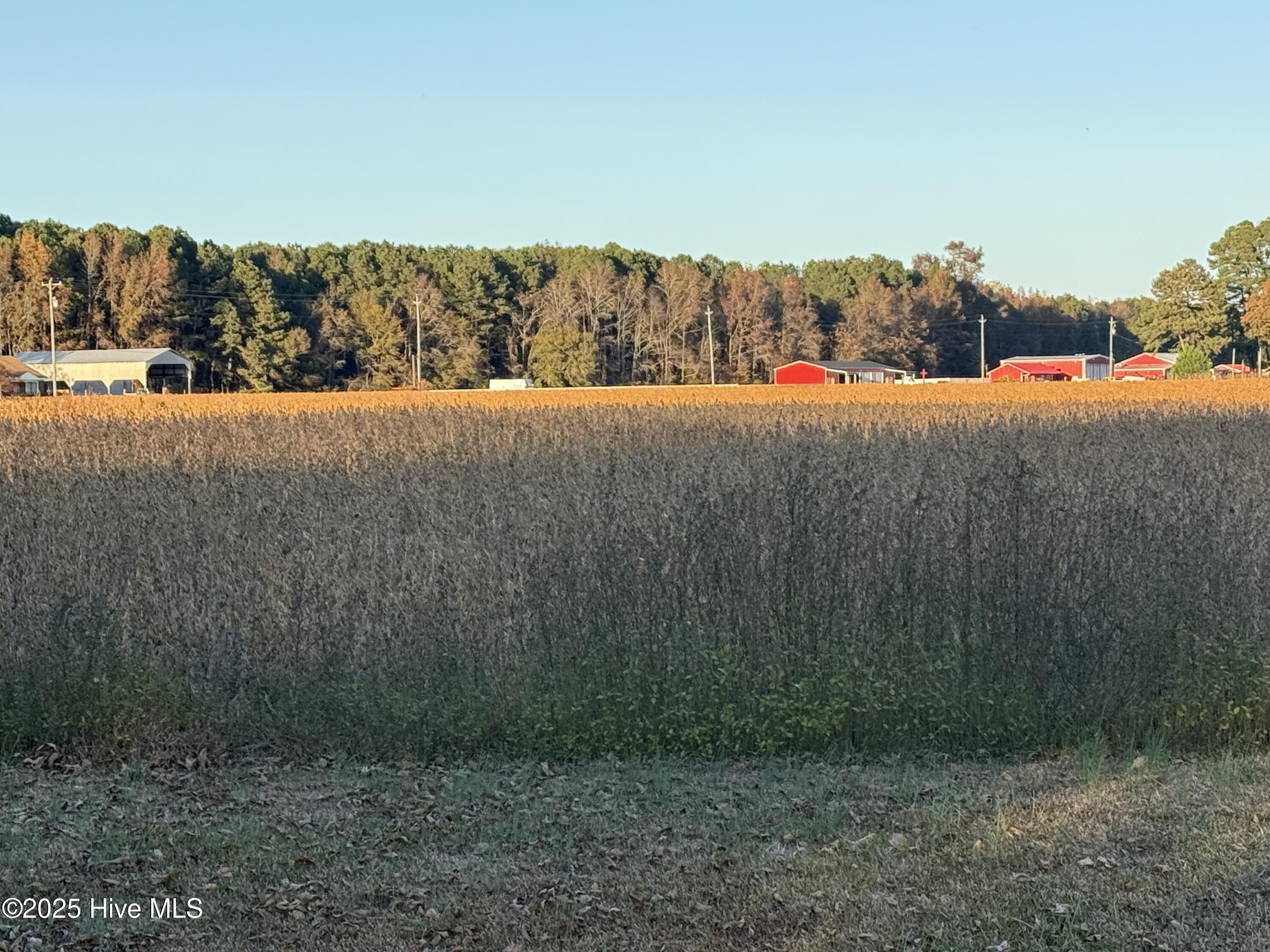 Goldsboro, North Carolina 27534, United States, ,Land,Active,255690