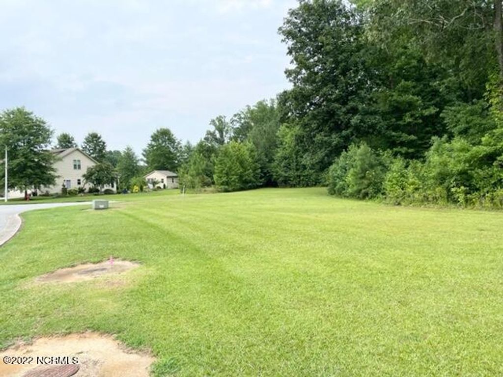 Photo of 0 Dean Drive, Chocowinity, NC 27817 (MLS # 100341209)
