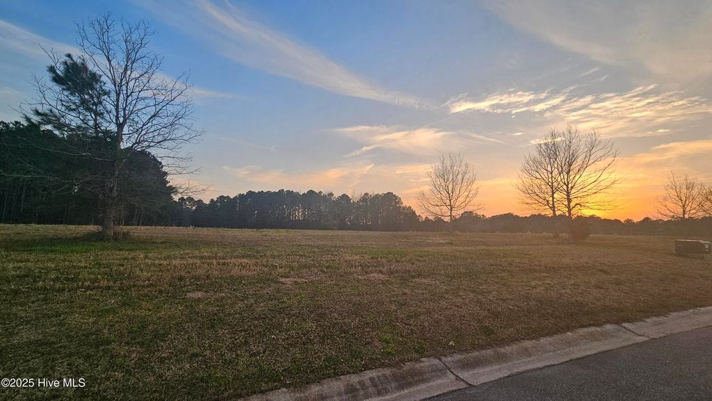 Photo of 178 Sycamore Lakes Drive, Wallace, NC 28466 (MLS # 100554257)