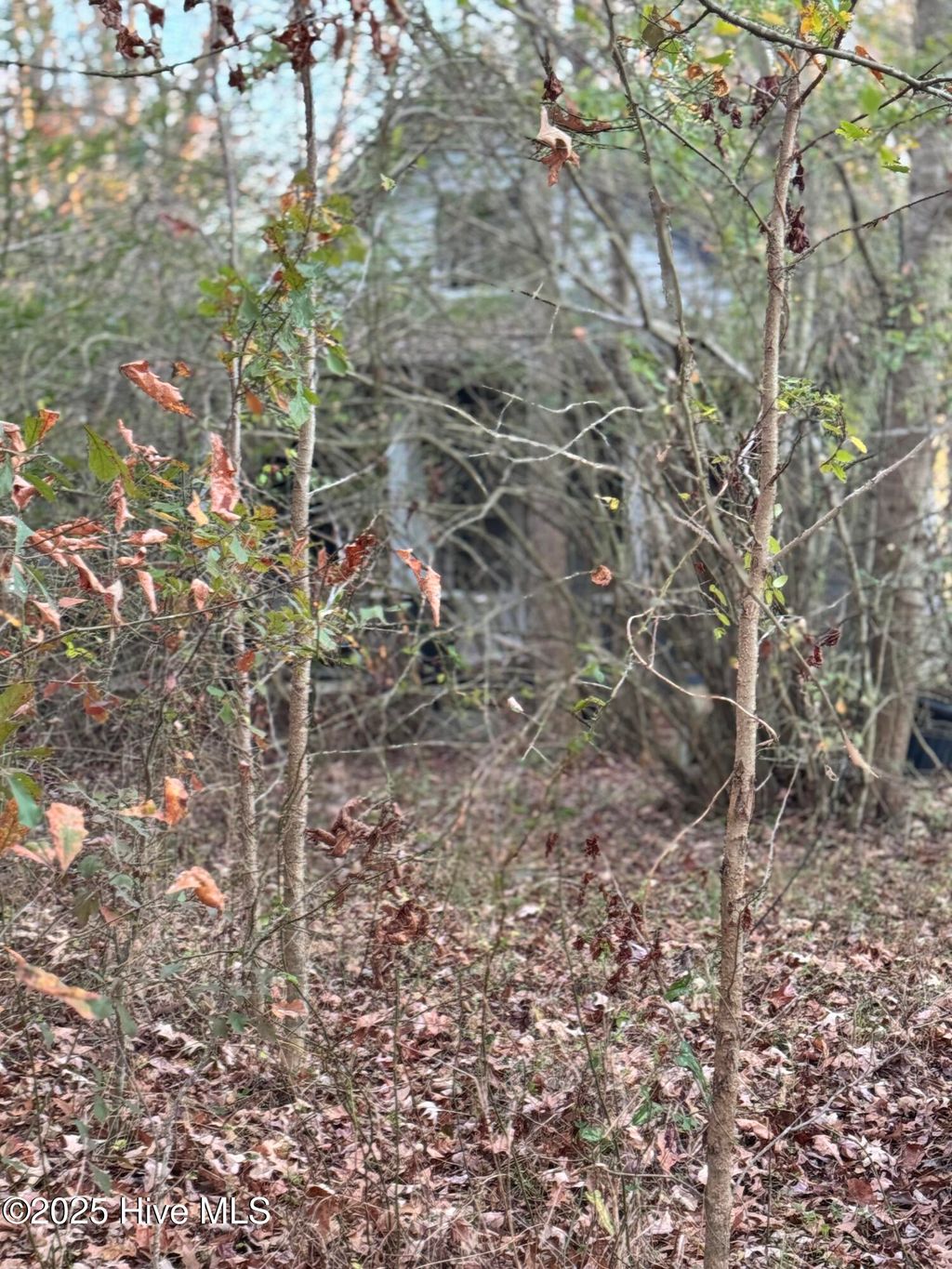 Photo of 583 Okisko Road, Elizabeth City, NC 27909 (MLS # 100545359)