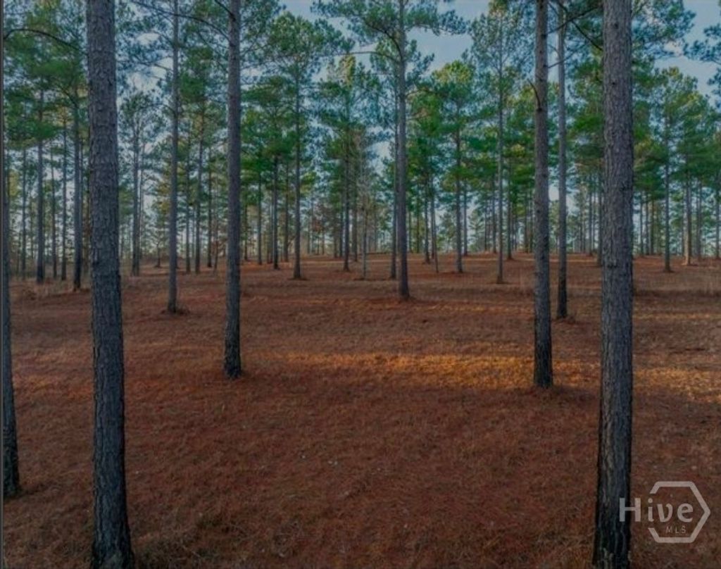 Photo of 163 Overlook Drive, Eatonton, GA 31024 (MLS # CL351044)