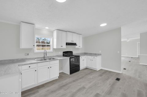 Tiny photo for 57 Henry Pridgen Drive, Burgaw, NC 28425 (MLS # 100550447)