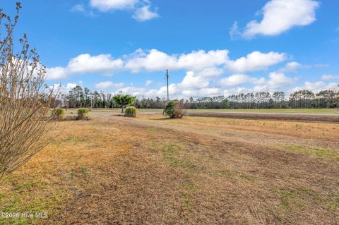Tiny photo for 57 Henry Pridgen Drive, Burgaw, NC 28425 (MLS # 100550447)