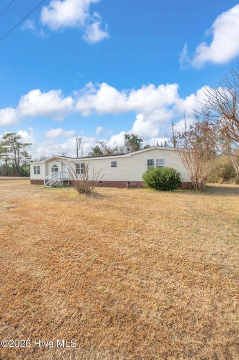 Tiny photo for 57 Henry Pridgen Drive, Burgaw, NC 28425 (MLS # 100550447)