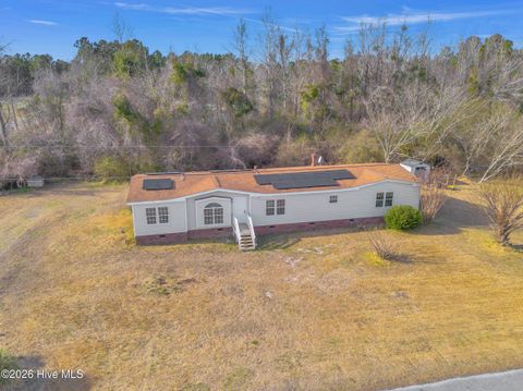 Tiny photo for 57 Henry Pridgen Drive, Burgaw, NC 28425 (MLS # 100550447)