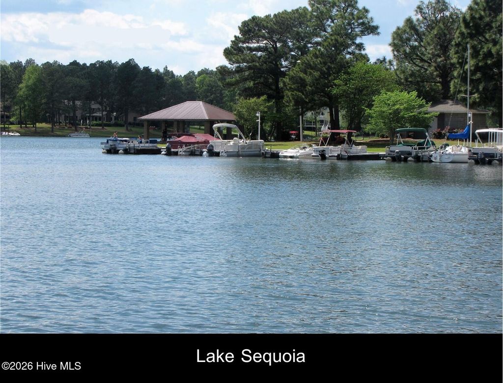 Photo of 106 Juniper Court, West End, NC 27376 (MLS # 100567658)