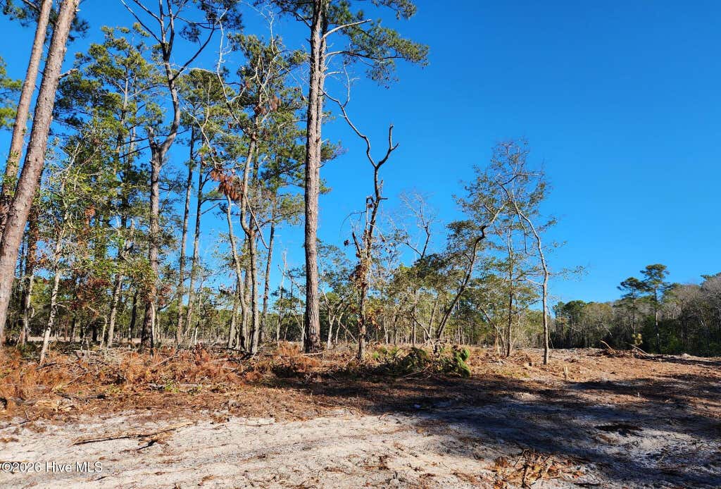 Photo of 93 Fletcher Key Street, Southport, NC 28461 (MLS # 100596463)