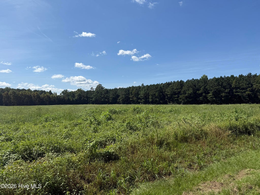 Photo of 0 Nc Highway 33, Chocowinity, NC 27817 (MLS # 100603714)