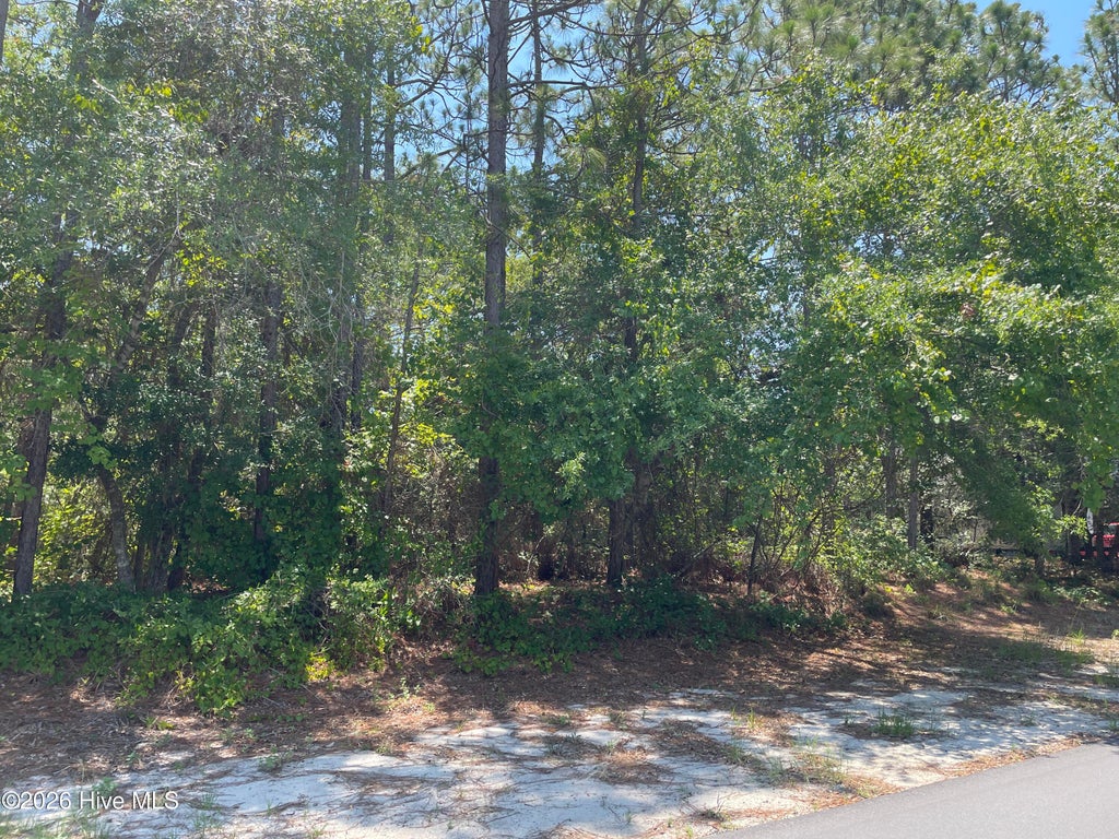 Photo of 158 NW 2nd Street, Oak Island, NC 28465 (MLS # 100595139)