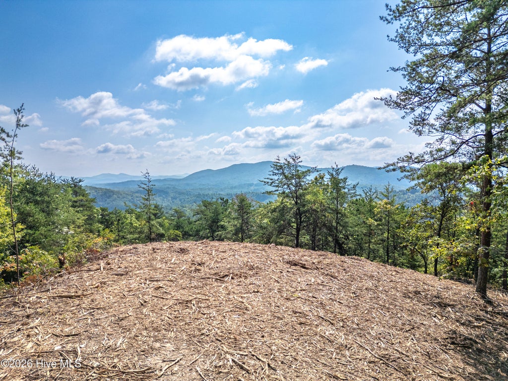 Photo of 157 Crossover Lane, Murphy, NC 28906 (MLS # 100604876)
