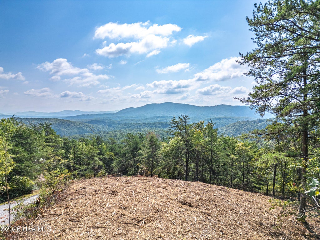 Photo of 157 Crossover Lane, Murphy, NC 28906 (MLS # 100604876)